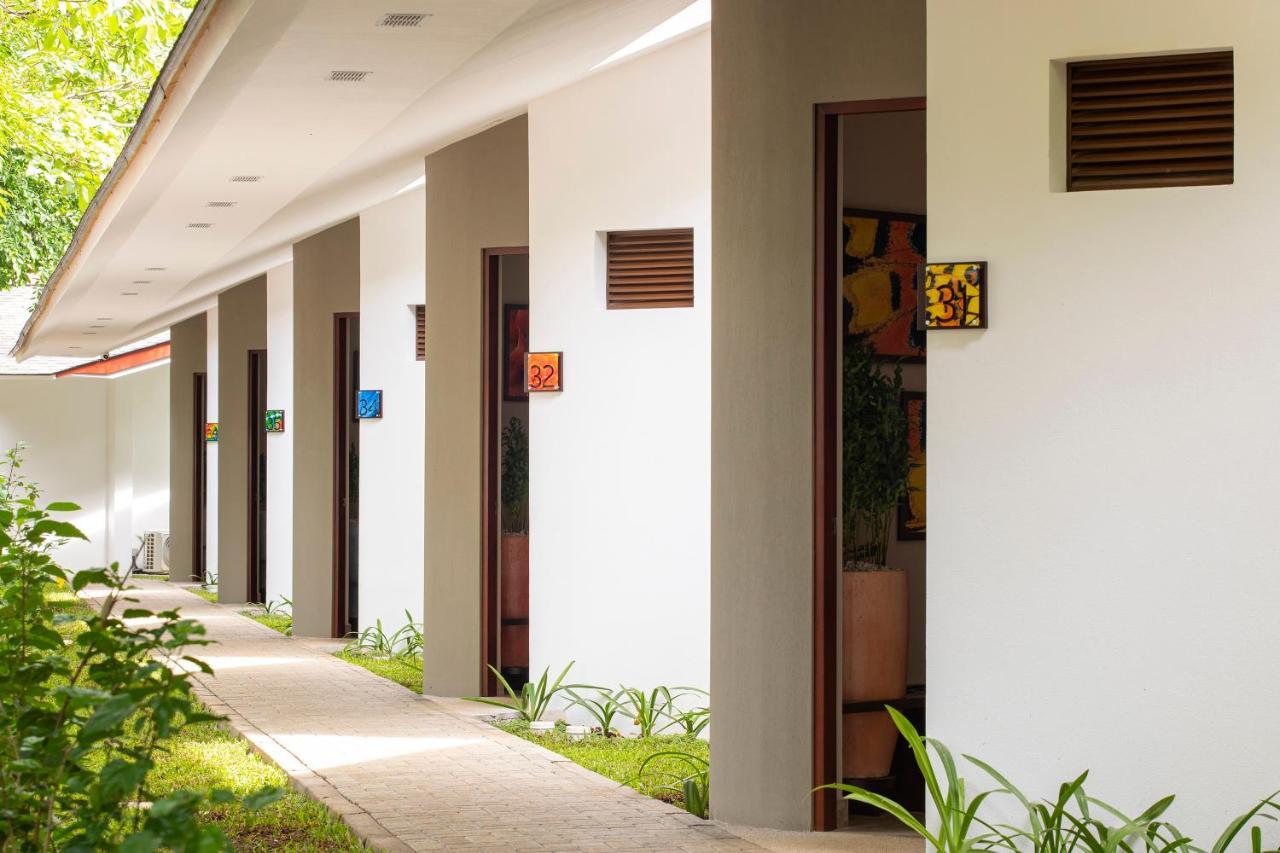 Pumilio Mountain & Ocean Hotel Jaco Luaran gambar